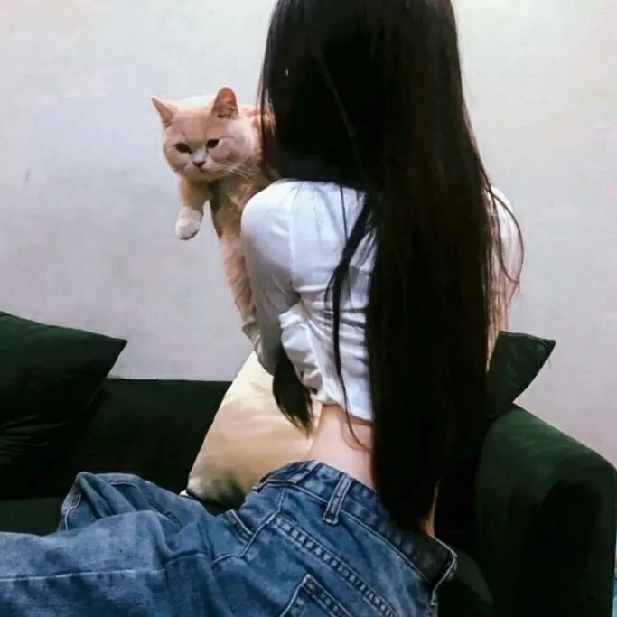 毛侠粤语 在线观看